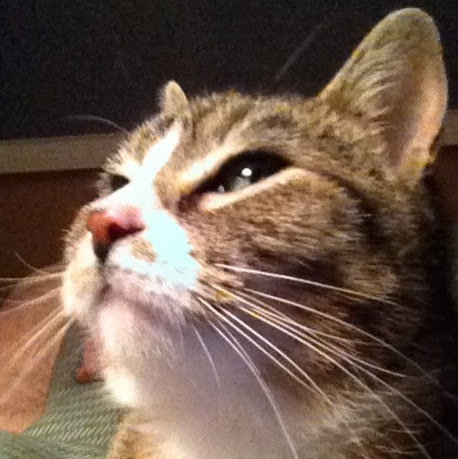 Phillip Crews Photo 17