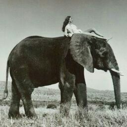 Arlene Vasquez Photo 22