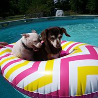 Sophia Leblanc Photo 6