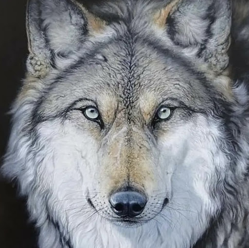 Amanda Bradshaw Photo 7