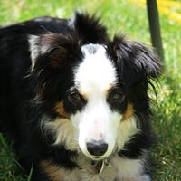 Sandra Heinrich Photo 8