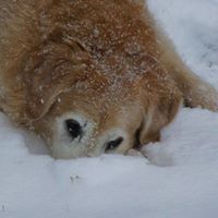 Kelly Plaza Photo 22