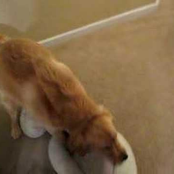 Andrea Harding Photo 13 Andrea Harding Photo 13