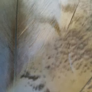 Katherine Marshall Photo 18 Katherine Marshall Photo 18