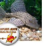 Richard Coleman Photo 36