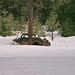 Rusty Trout Photo 9