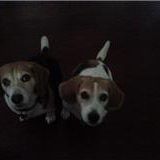 Linda Scanlon Photo 27