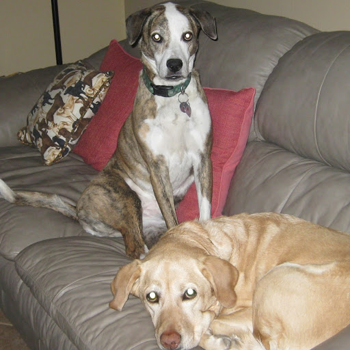 Kathleen Peterson Photo 8