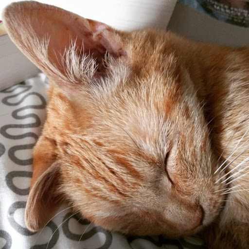 Aimee Gilbert Photo 26