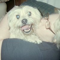 Cindy Mercer Photo 11