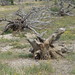 Teresa Stump Photo 21