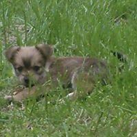 Miles Mcdonald Photo 14