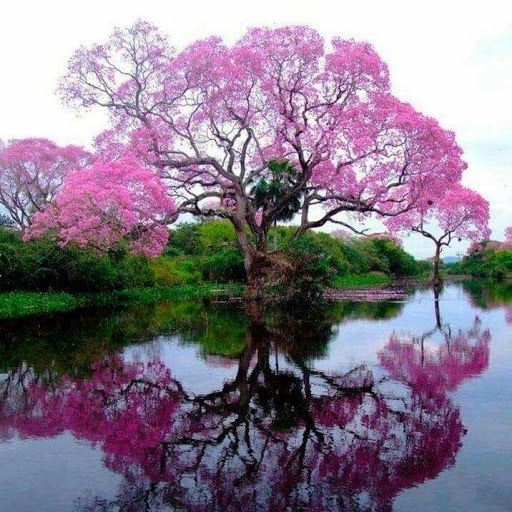 Martha Diaz Photo 25