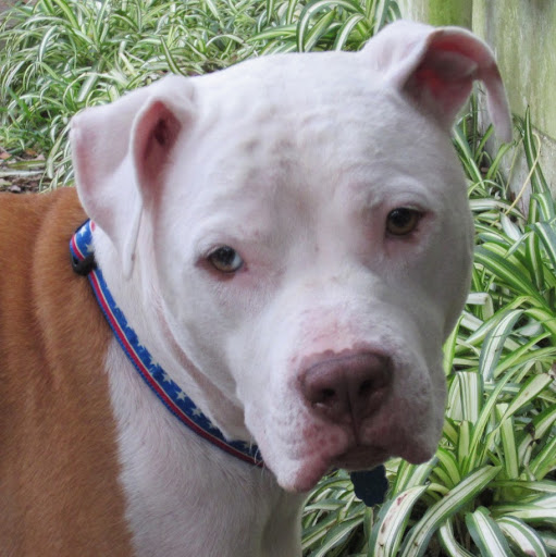 Steve Blake Photo 19