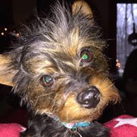 Patricia Lyons Photo 45