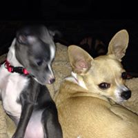 Suzanne Morse Photo 22