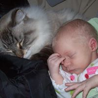 Jeremy Burrow Photo 7