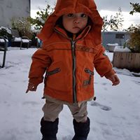 Vicky Cheng Photo 25