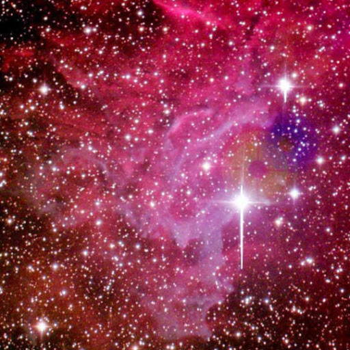 John Casteel Photo 9