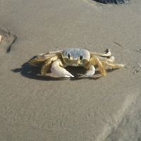 Christopher Durbin Photo 9