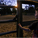 Jonathan Cassella Photo 4