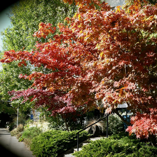 Catherine Reed Photo 17