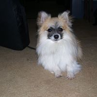 Judith Bennett Photo 48