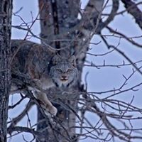 Annette Brock Photo 13