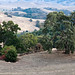 John Ridge Photo 26