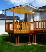 David Welch Photo 2 David Welch Photo 2