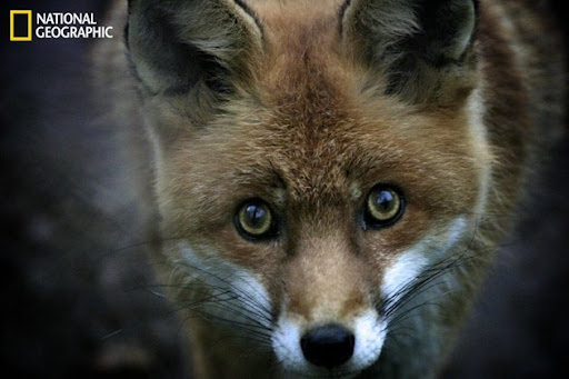 Kay Workman Photo 10