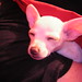 Princess Monroe Photo 22