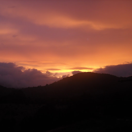 Mary Pickens Photo 1