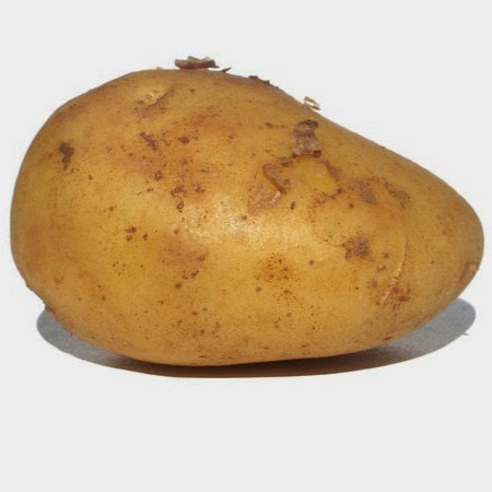 Stephen Horton Photo 41