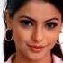 Reshma Shah Photo 24 Reshma Shah Photo 24