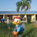 Donald Spring Photo 8