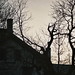 Thomas Hill Photo 35
