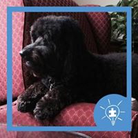 Elizabeth Buckner Photo 22