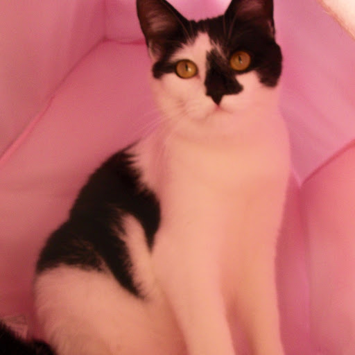 Jessie Macleod Photo 1