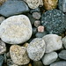 Beverly Low Photo 10