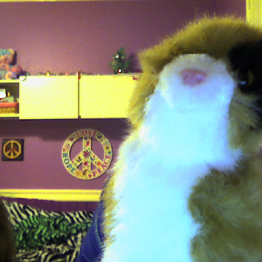 Jillian Bennett Photo 6