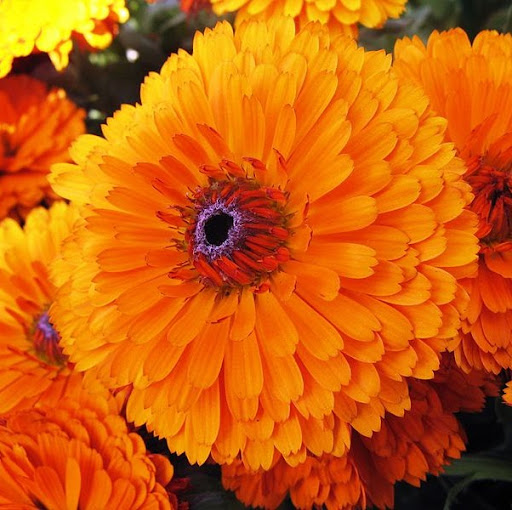 Betty Blake Photo 36