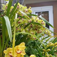 Theresa Mathews Photo 12