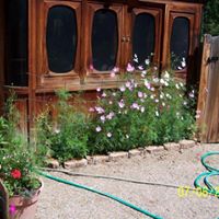 Sandra Sutton Photo 24