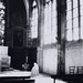 Anne Mitchell Photo 22