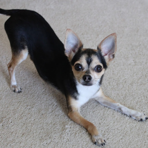 Linda Mcclure Photo 24