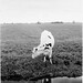 Judy Linn Photo 23