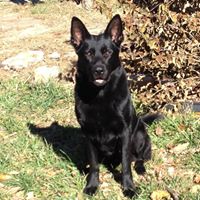 Sarah Bloom Photo 17