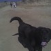 Joe Chavez Photo 7