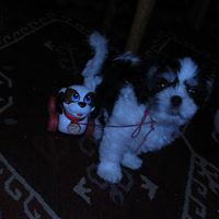 Bonnie Robbins Photo 27